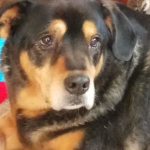 Meet your Posher, Kelley